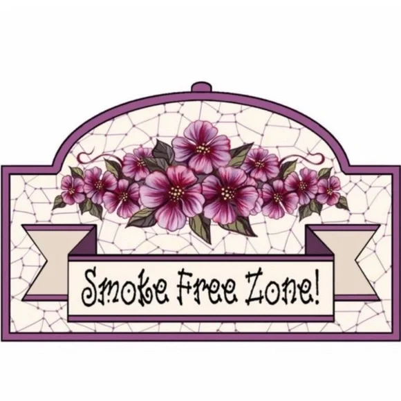 ZARA Blouse Pink Short Bell Sleeve Lace Crop Ribbed Round Neck Sheer Top… - Picture 12 of 15